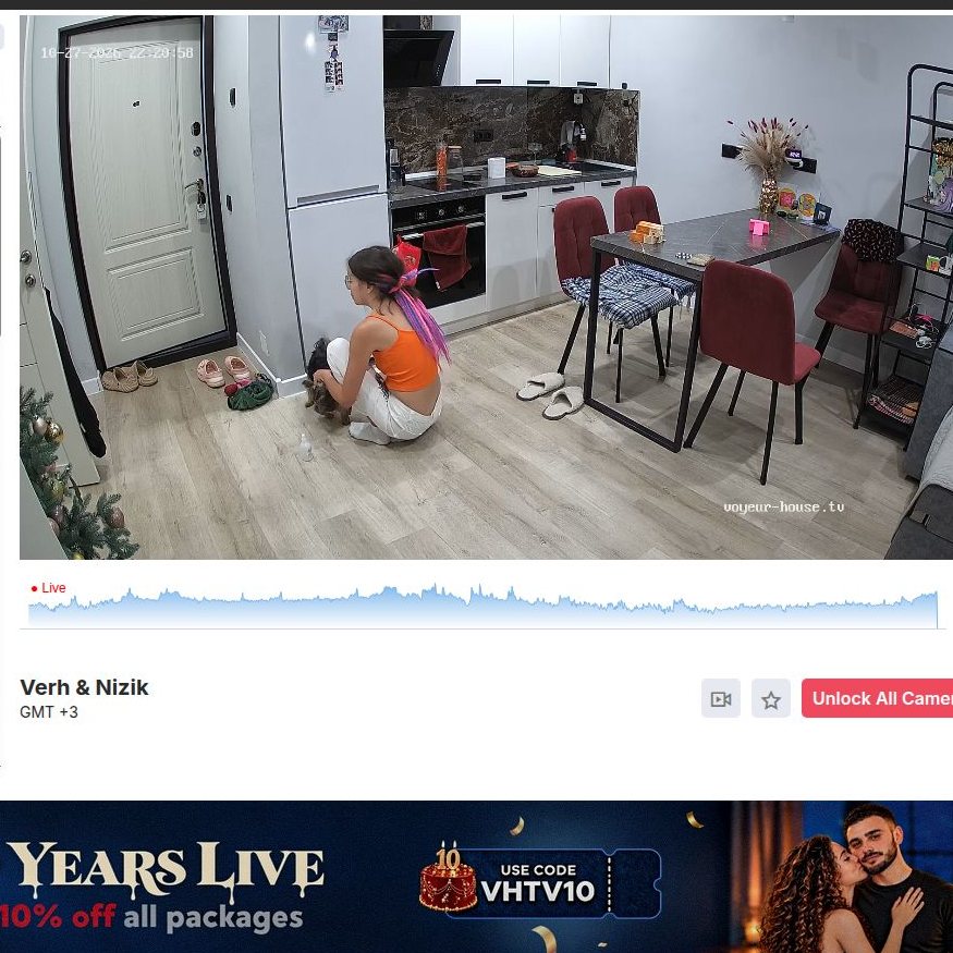 Woning met meerdere camerahoeken bij Voyeur House TV